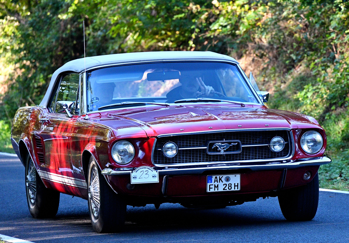 Mustang2.JPG