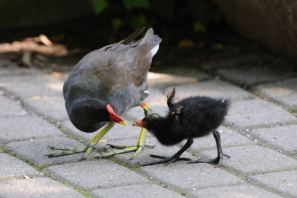 Mutter und Kind.
