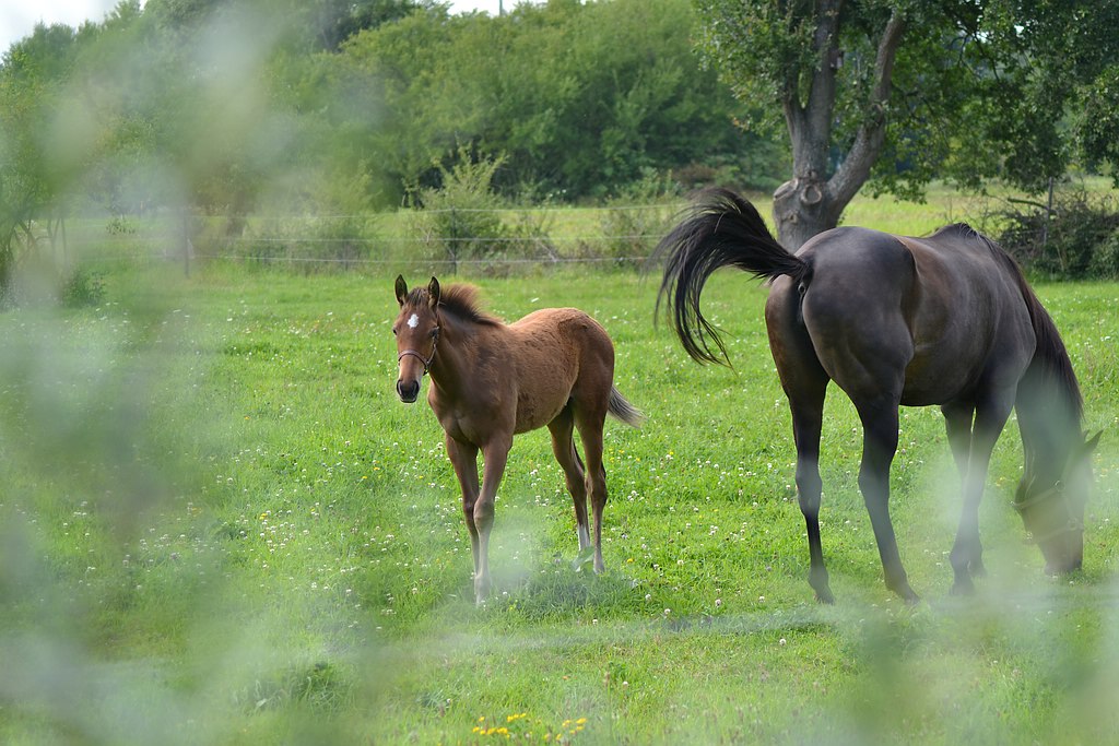 Mutter und Tochter
