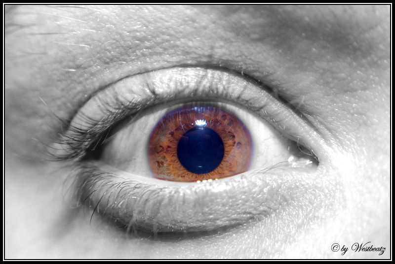 my eye