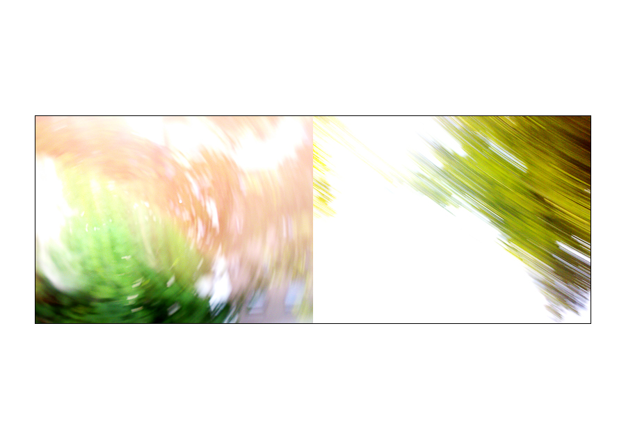 n003 online