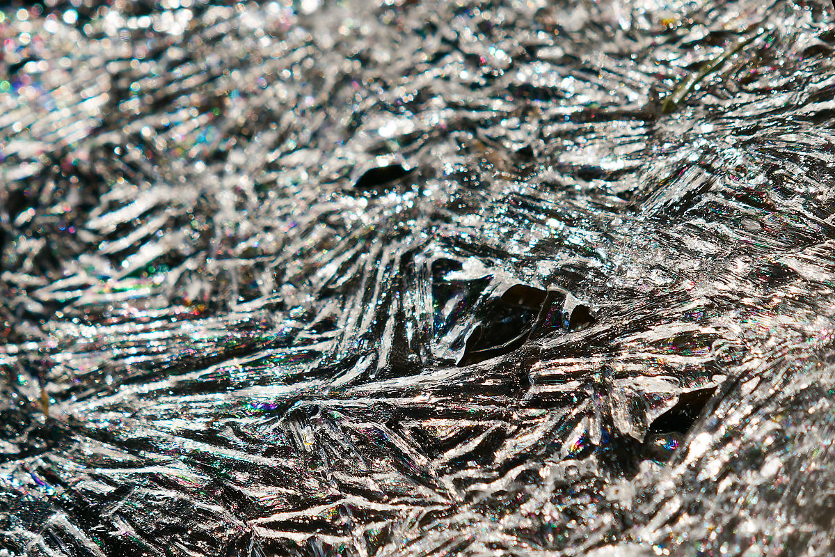 N2180997nikon.jpg