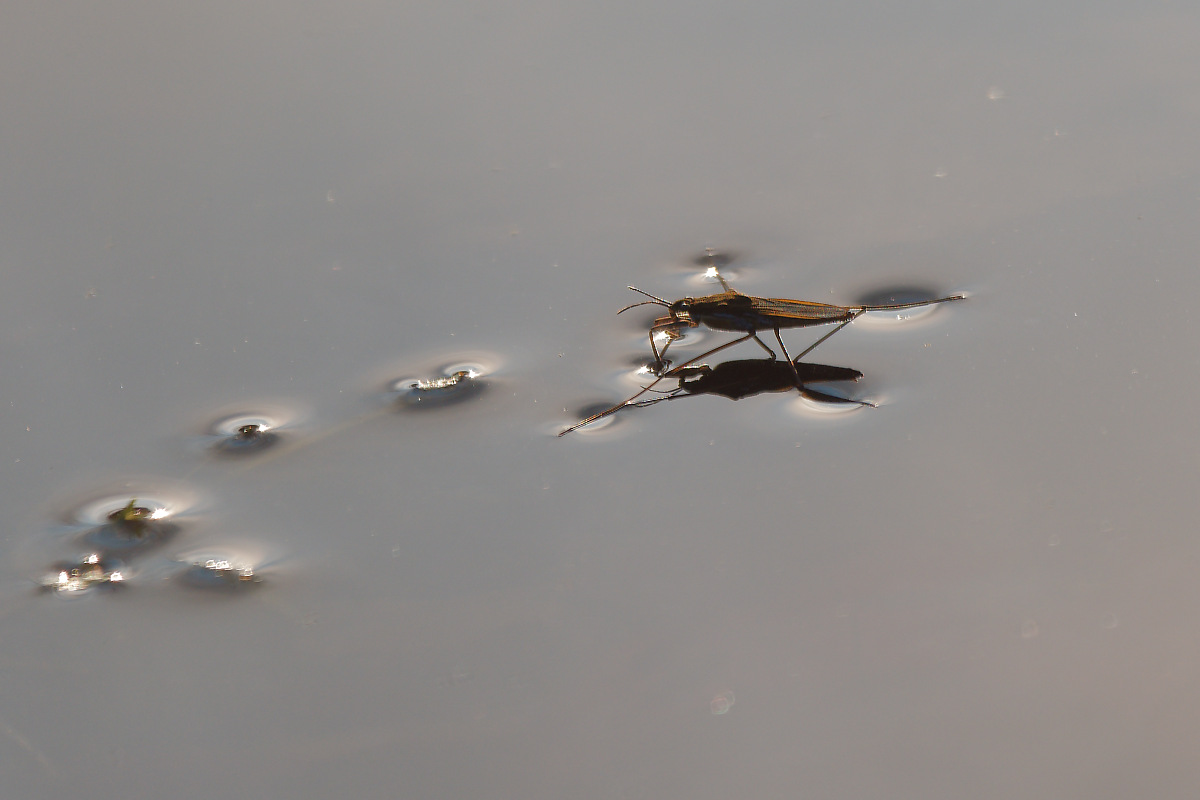 N3242012nikon.jpg