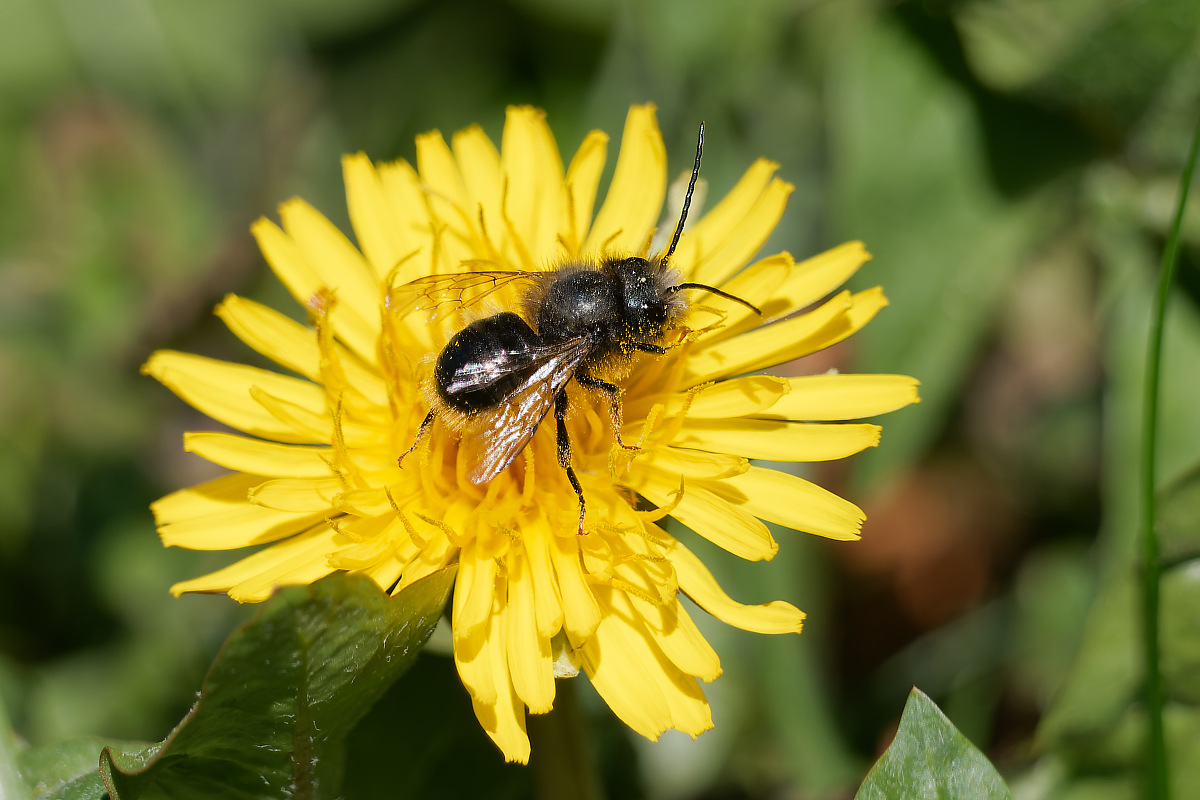 N4062884nikon.jpg