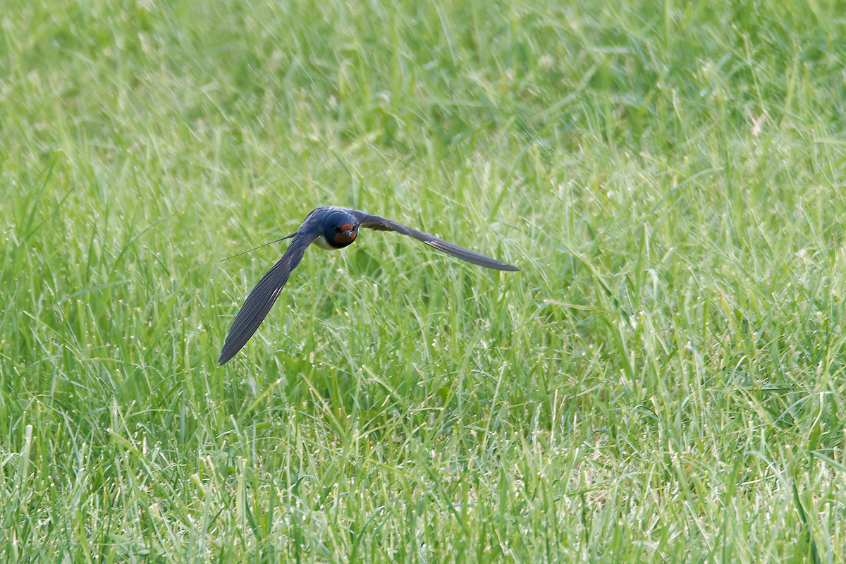 N5157089nikon.jpg