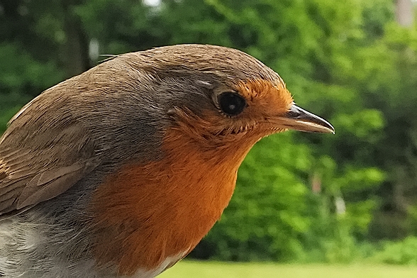 N6082216 (2)_hf.jpg