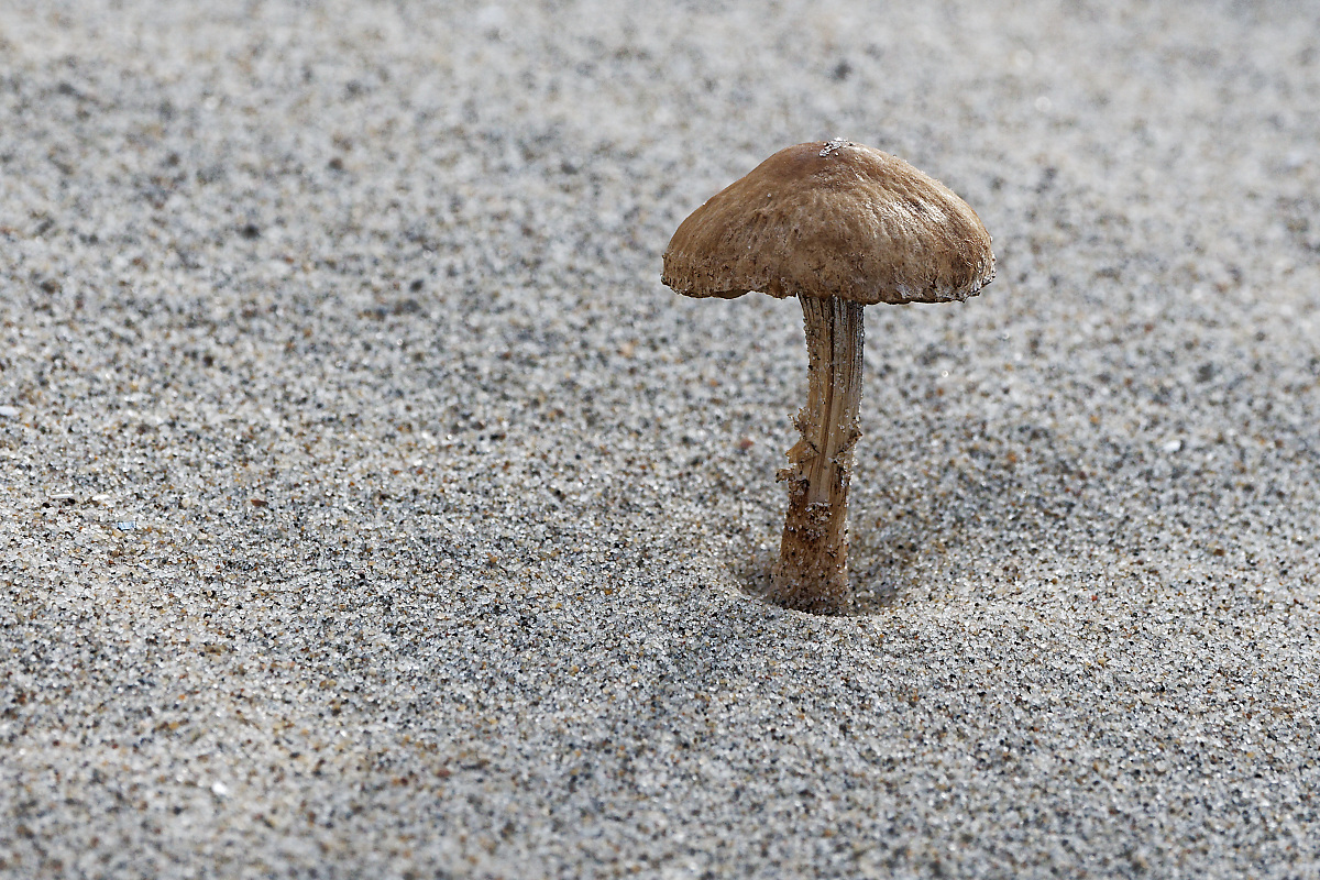 N6122659nikon.jpg