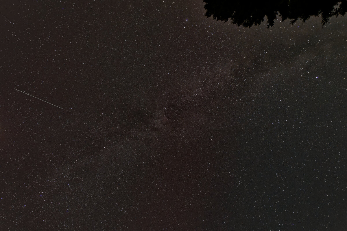 N8139428oly.jpg