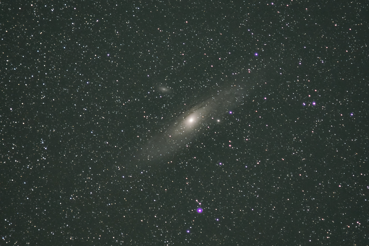 N8290138nikon-1.jpg