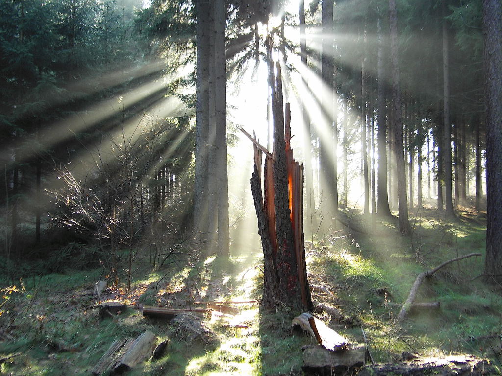 Nach dem Sturm1