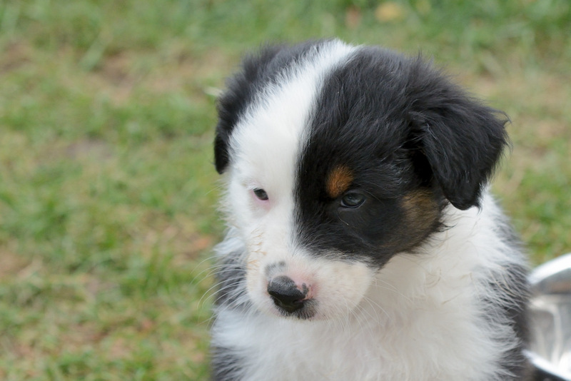 Nala Preun -091.jpg