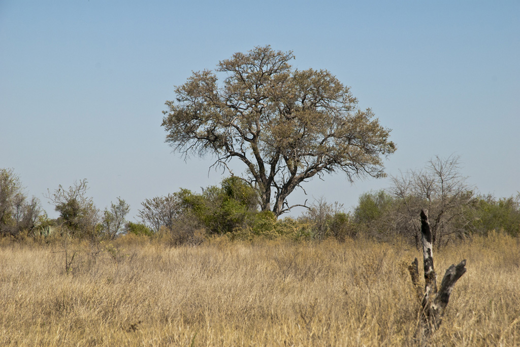 namibia 07