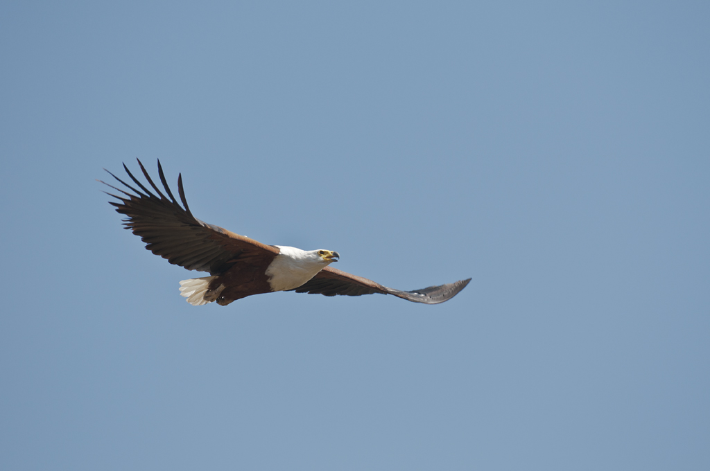 namibia 08