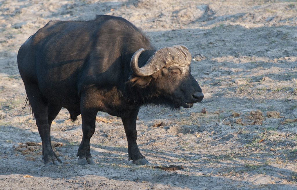 namibia 19