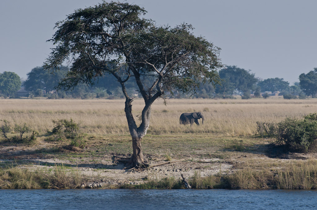 namibia 20