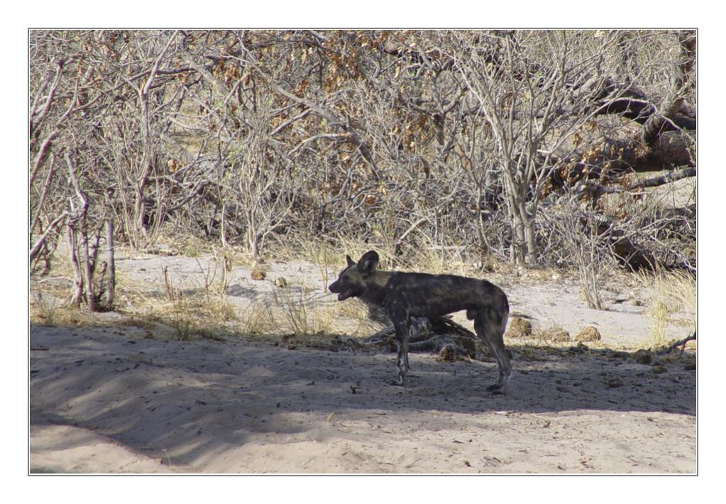 Namibia 2005 102 bearbeitet 1