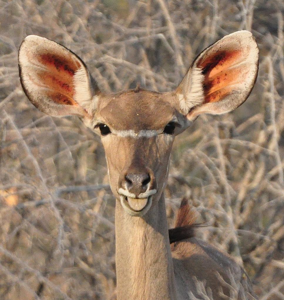 Namibia 2011