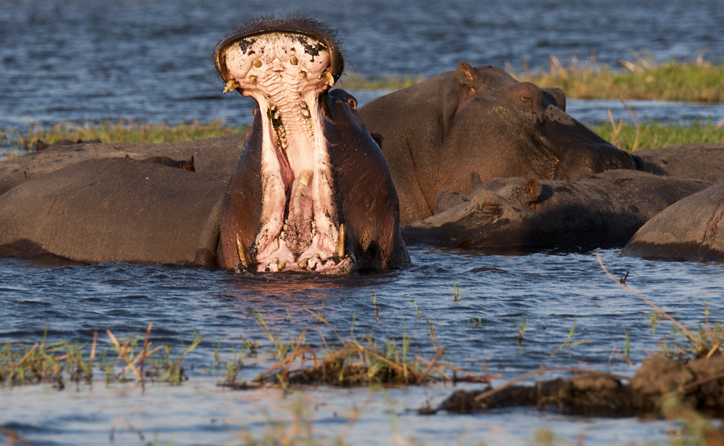 namibia 28