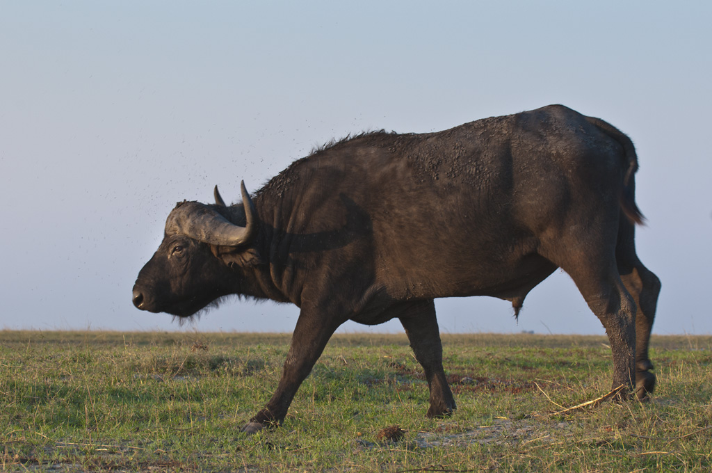namibia 29
