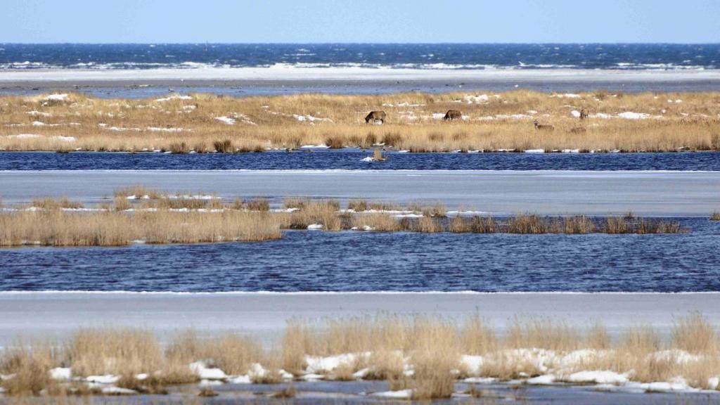 Nationalpark an der Ostsee