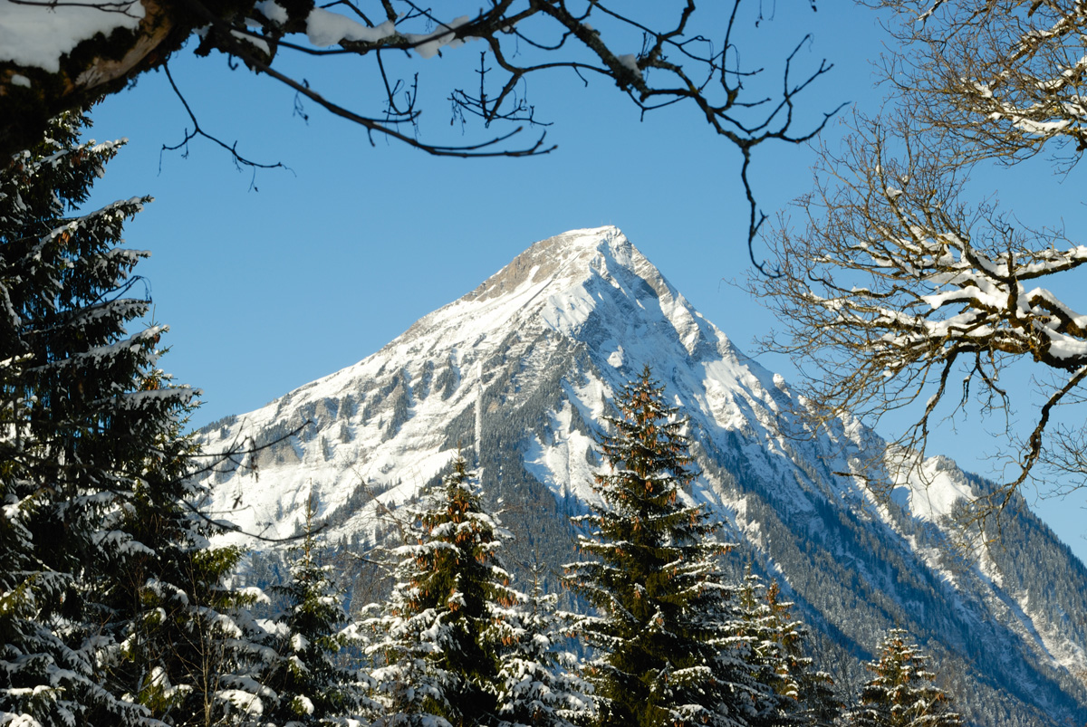 Natur  128 024