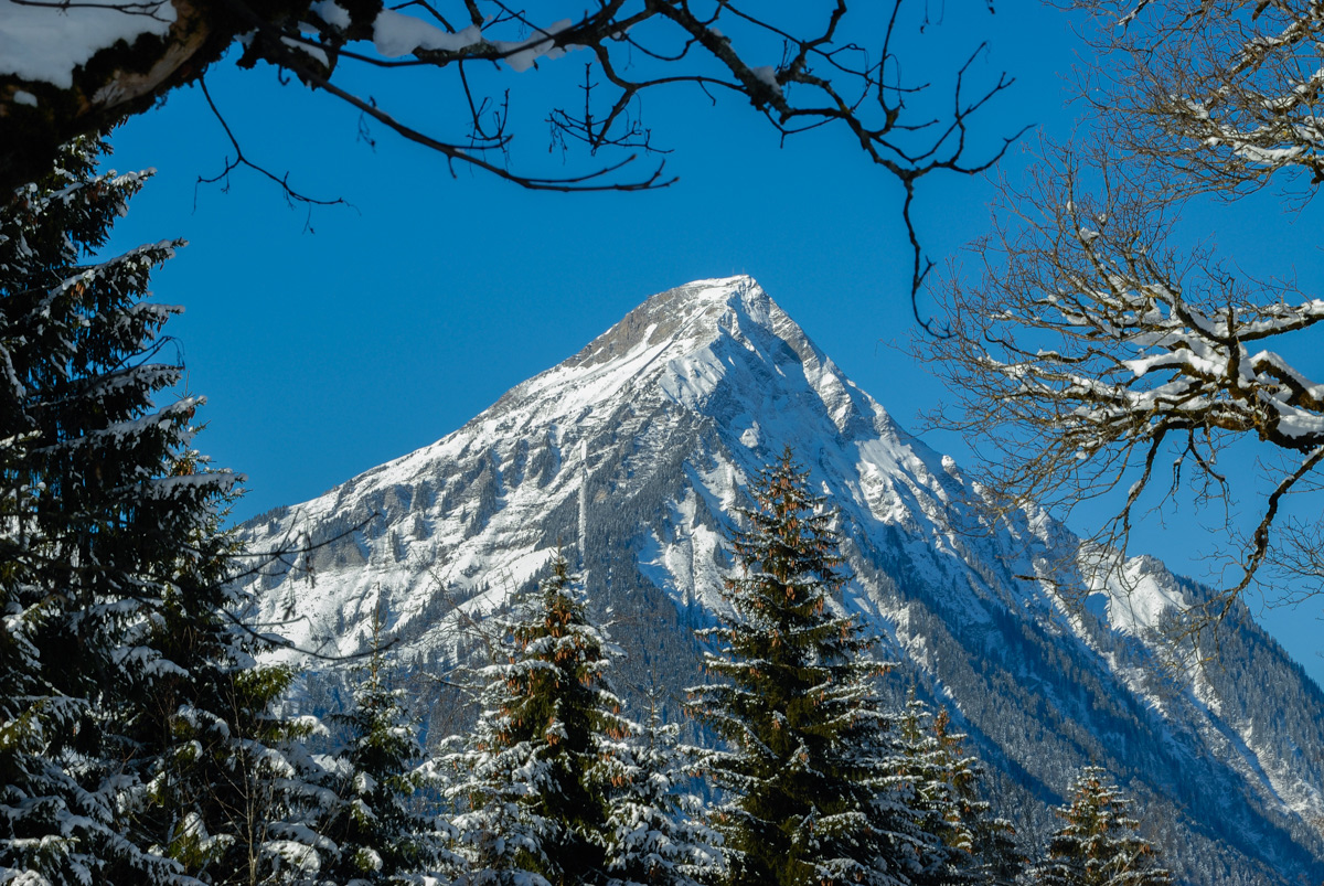 Natur  20070128 024