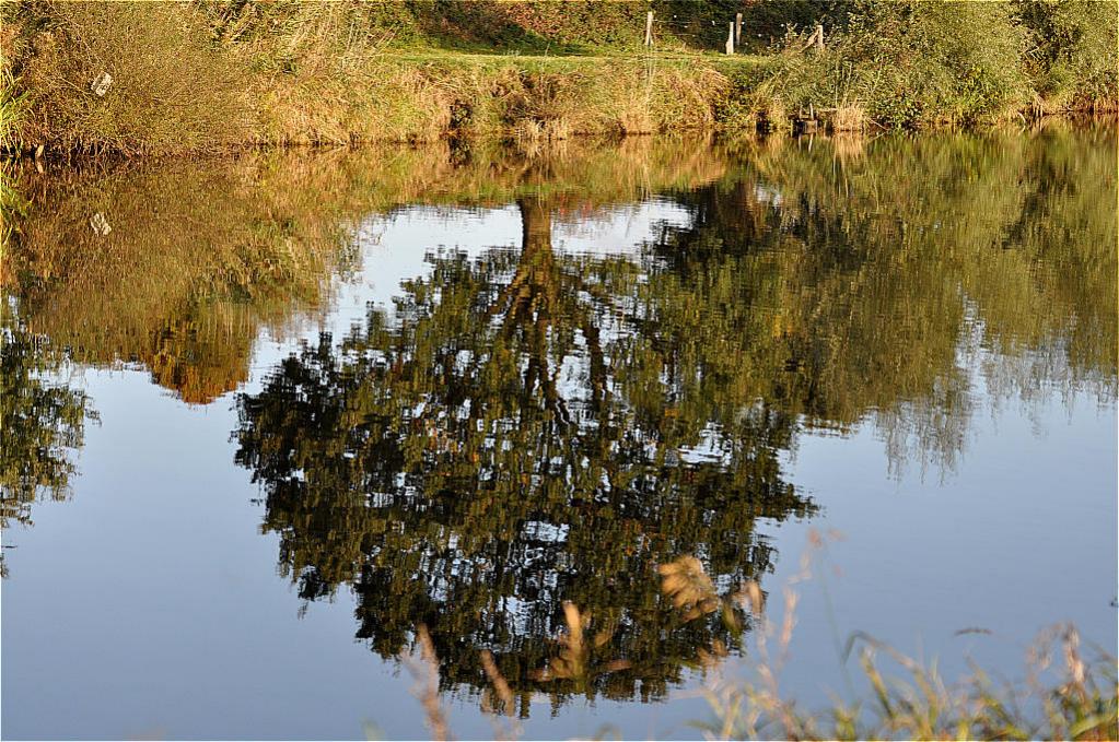 Natur 2009
