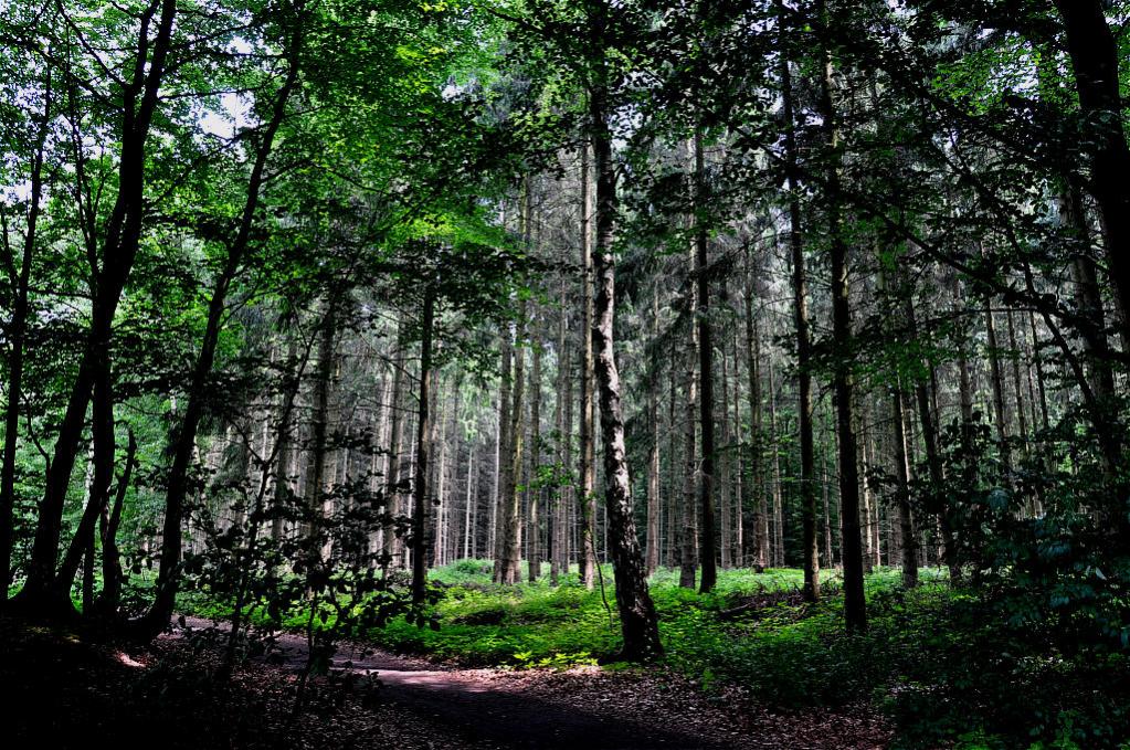 natur 2009