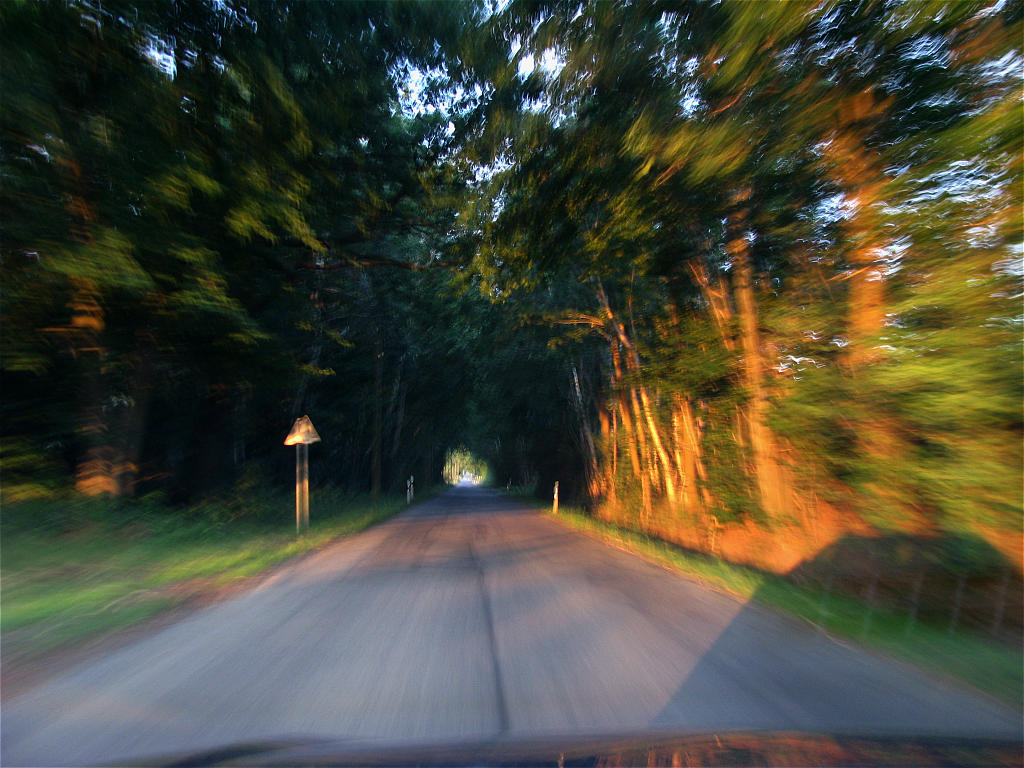 Natur Juli 2010 088 fc