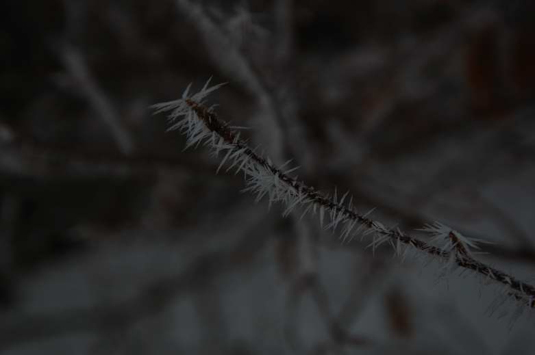 Natur pur