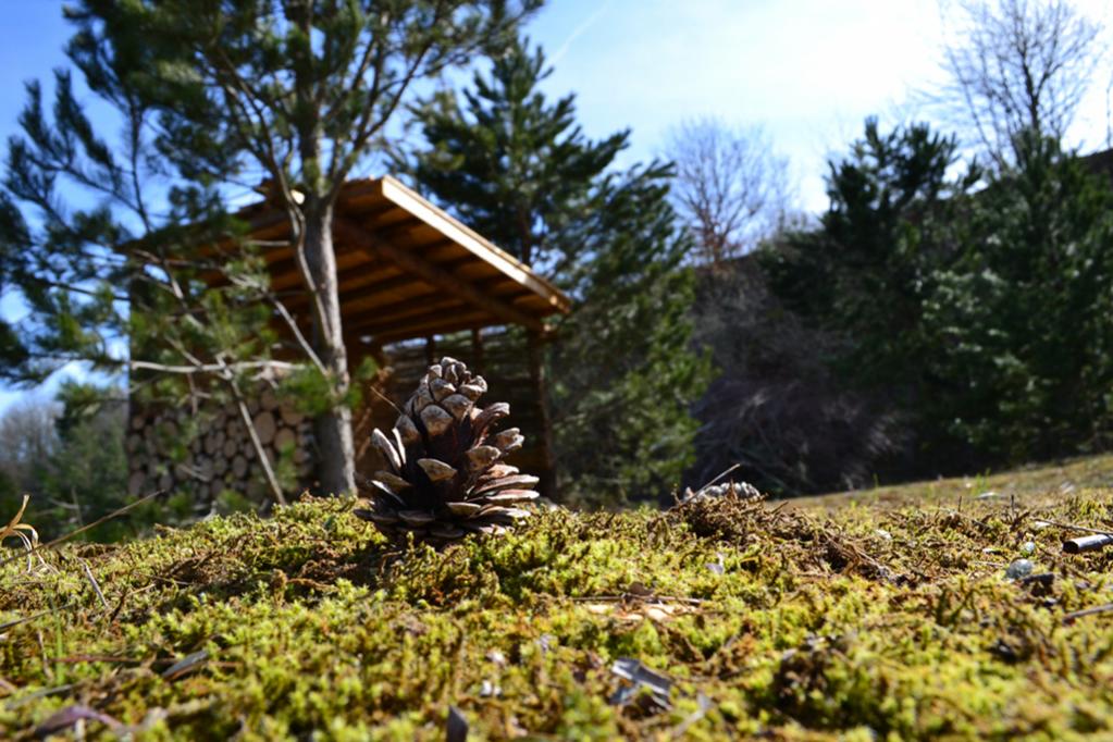 Natur