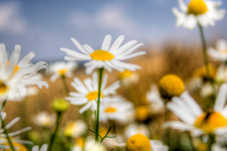 NATUR2