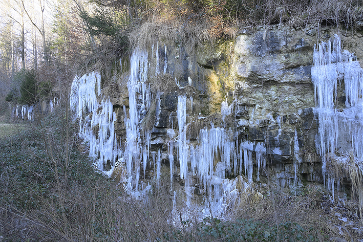 Natur_Winter_Eiszapfen_Zf_DSC0337_18x12x150.jpg