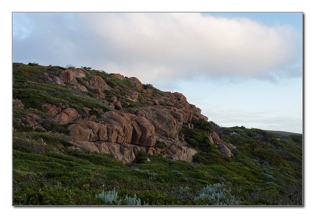 naturaliste1
