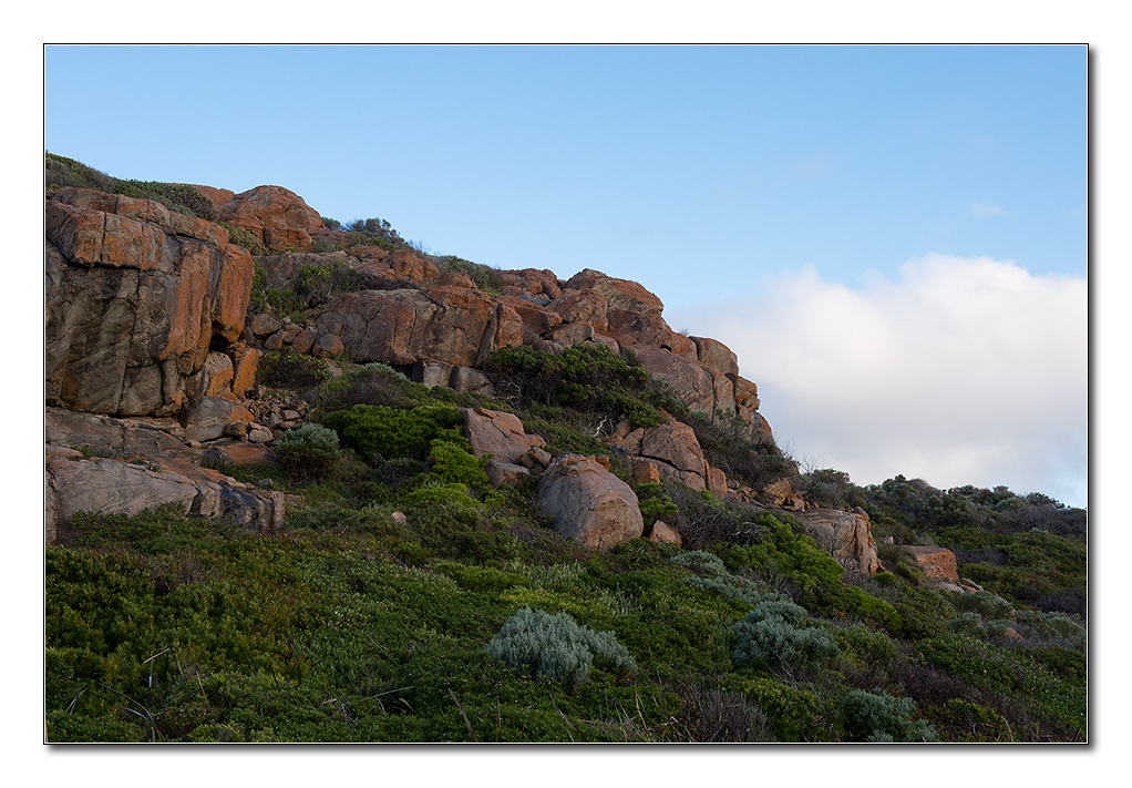 naturaliste2