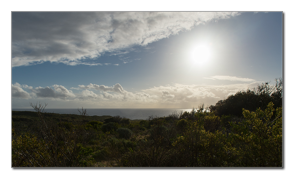 naturaliste6