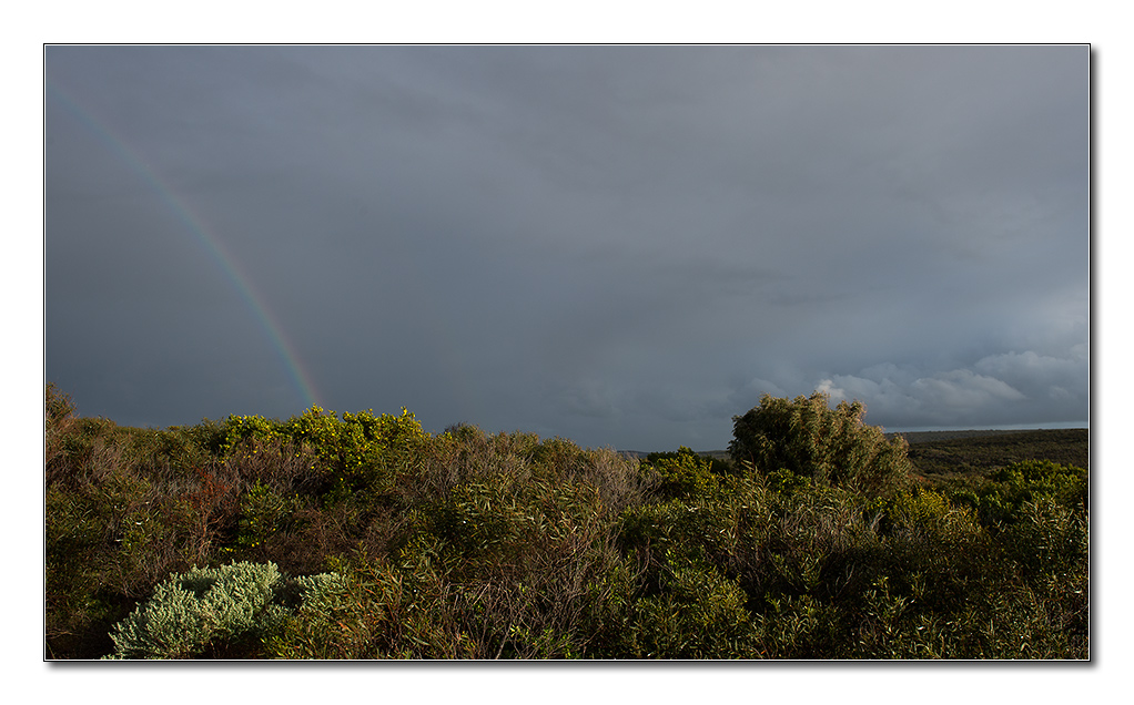 naturaliste7