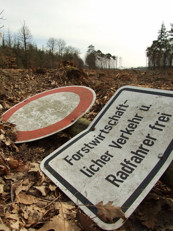 Naturschutz made in Hessen