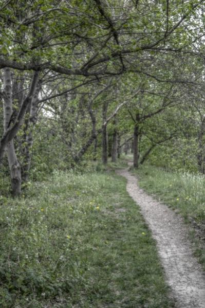 Naturweg am Erfurter Nordstrand. Ein spezielles Format von Luminanz HDR.