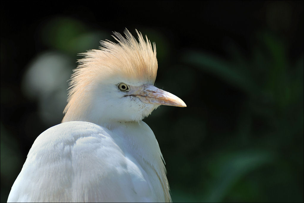 Naturzoo Rheine 22.05.2010