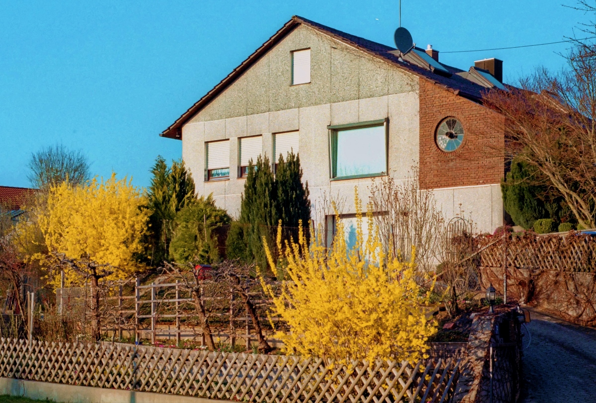 nbh02.jpg