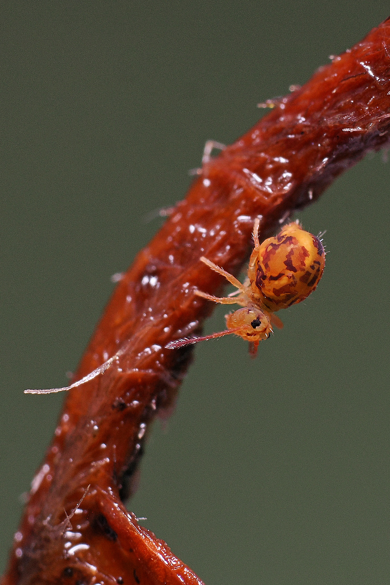NC255581nikon.jpg