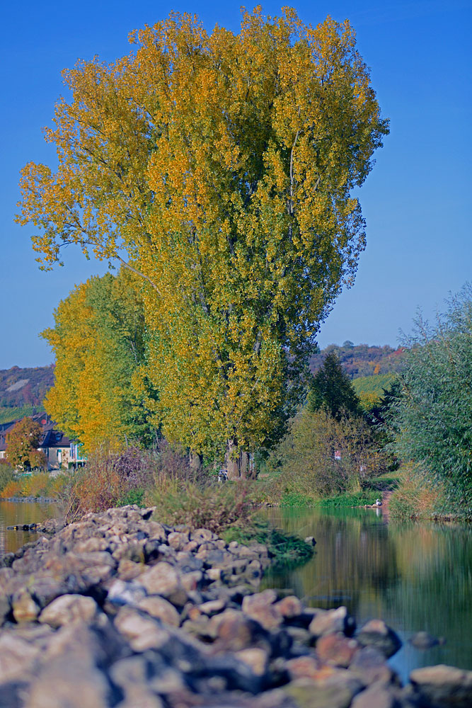 ND8 2551 1000