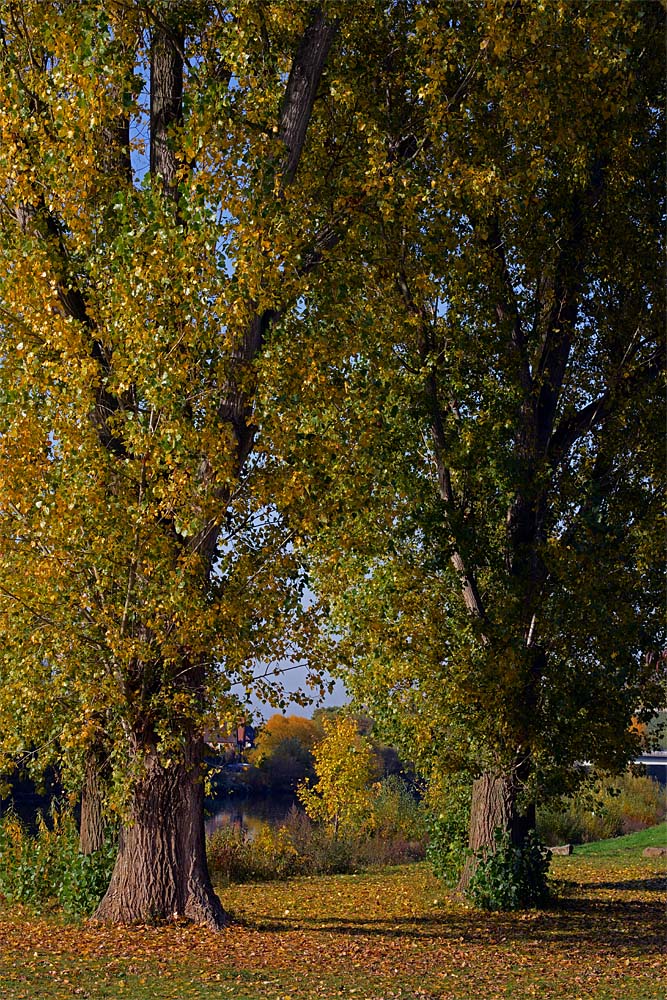 ND8 2554 1000
