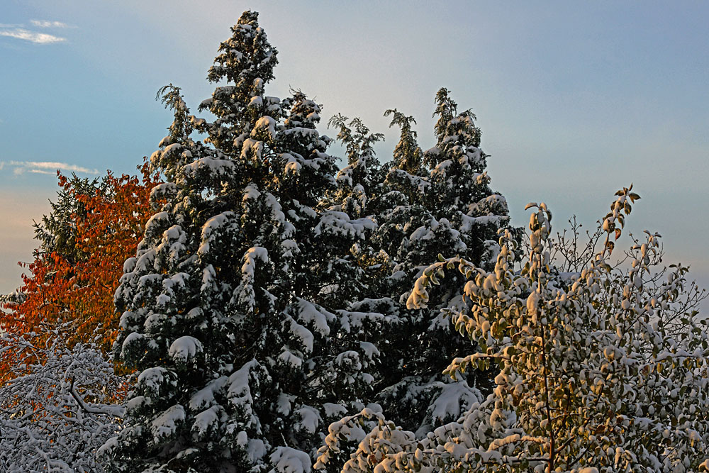 ND8 2892 1000