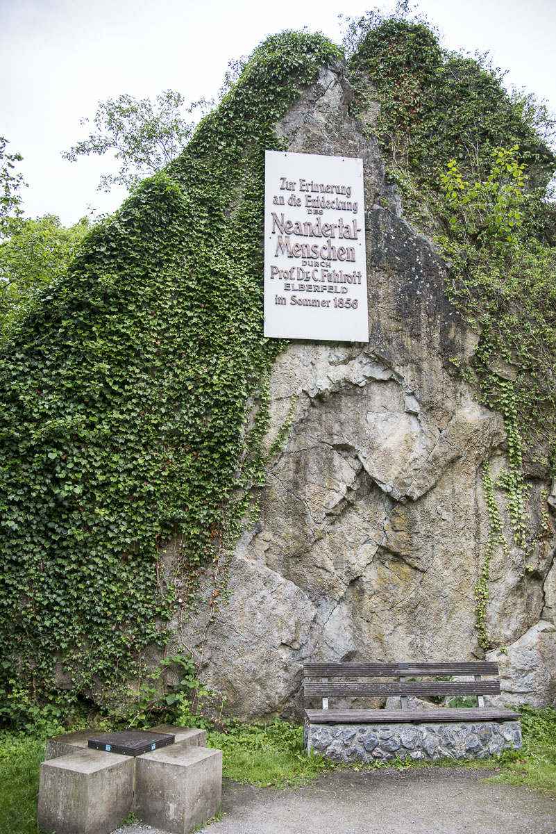 Neanderthal Bank 1