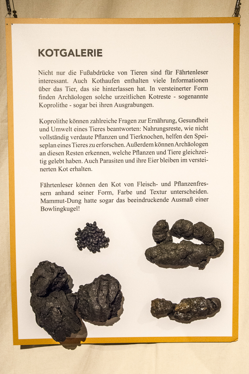 Neanderthal Museum 2