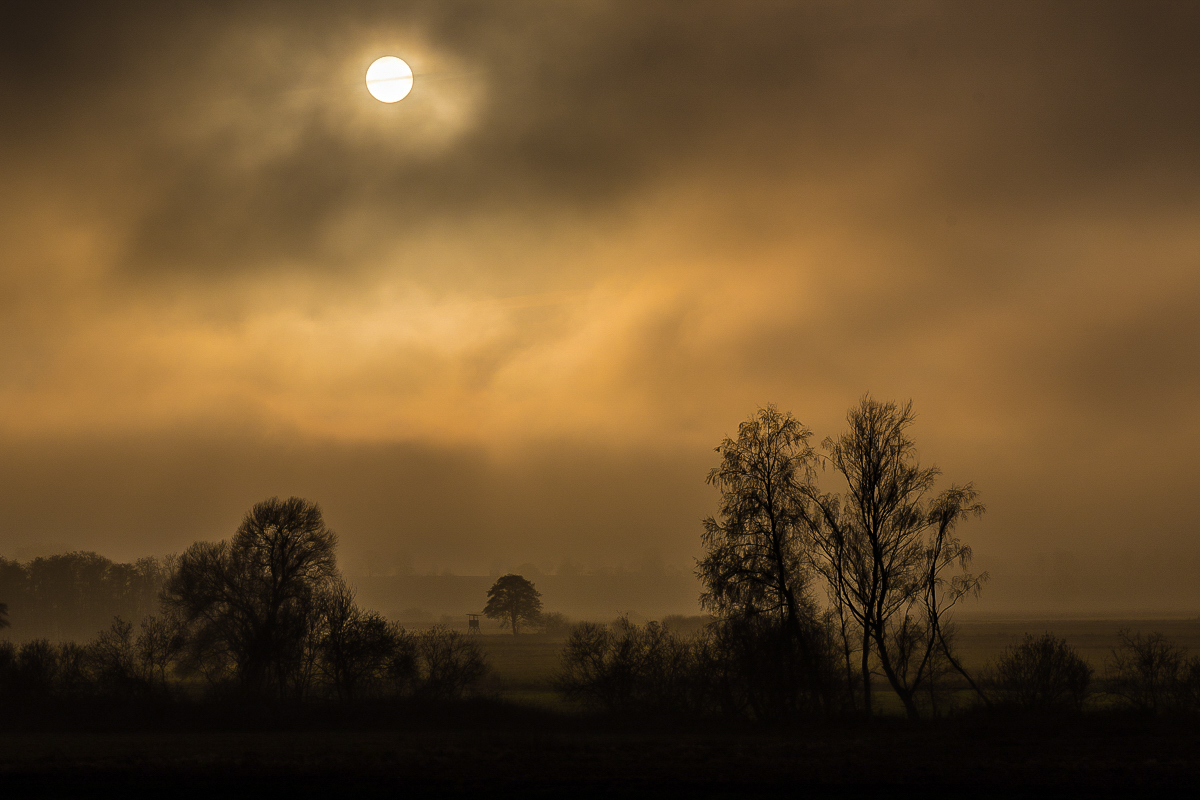 Nebel über den Seewiesen (1 von 1).JPG