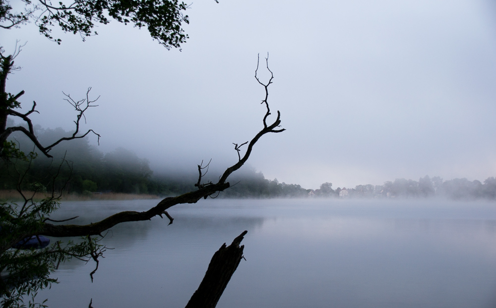 Nebel überm Wurlsee