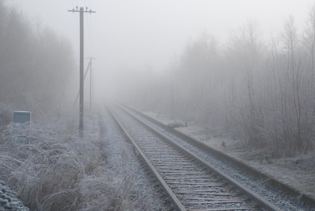 Nebel 01 9